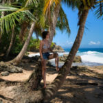 goa tour and travel agency