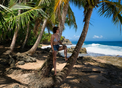 goa tour and travel agency